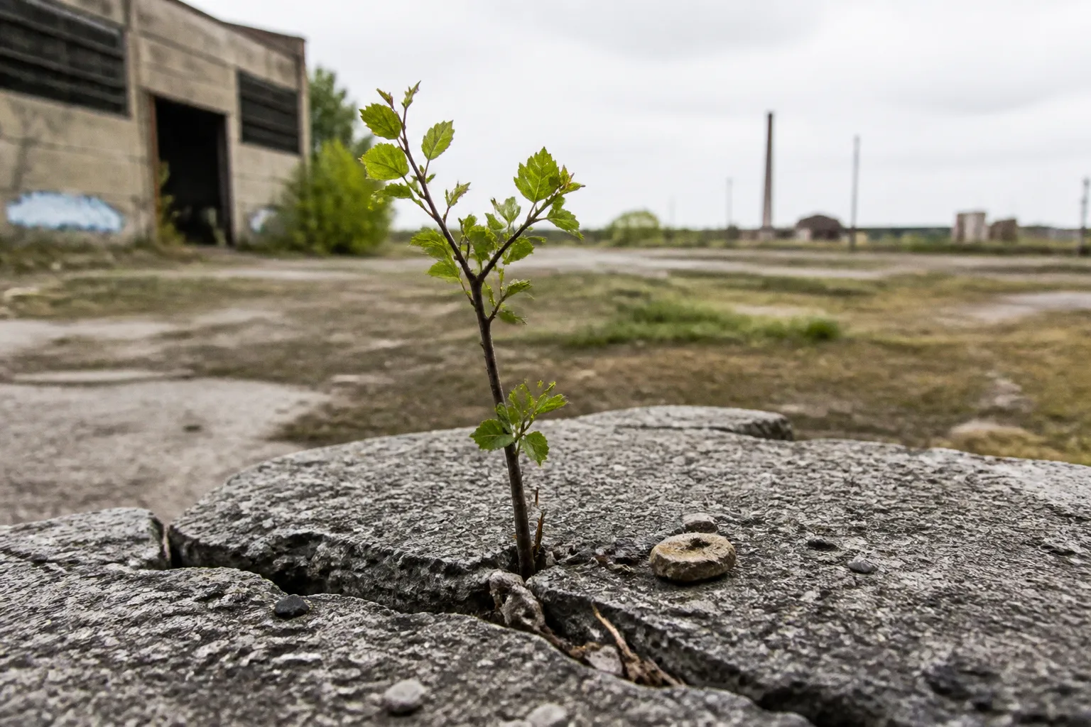 Climate accelerator options: the founder transition